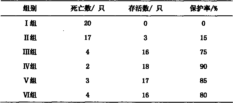 Pharmaceutical composition of dsRNA and saikosaponin and application thereof