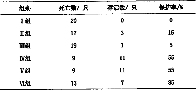 Pharmaceutical composition of dsRNA and saikosaponin and application thereof