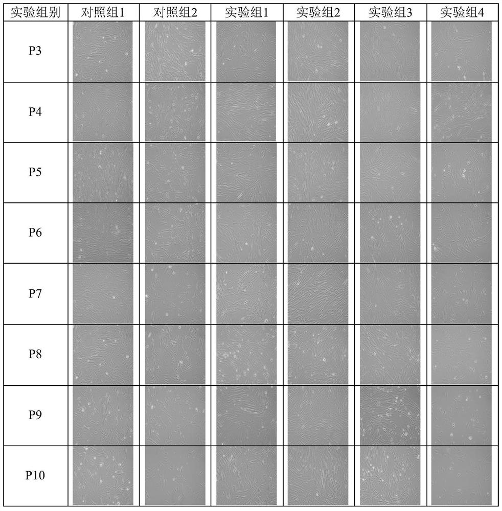 Serum-free medium (SFM) and application thereof in mesenchymal stem cell (MSC) subculture