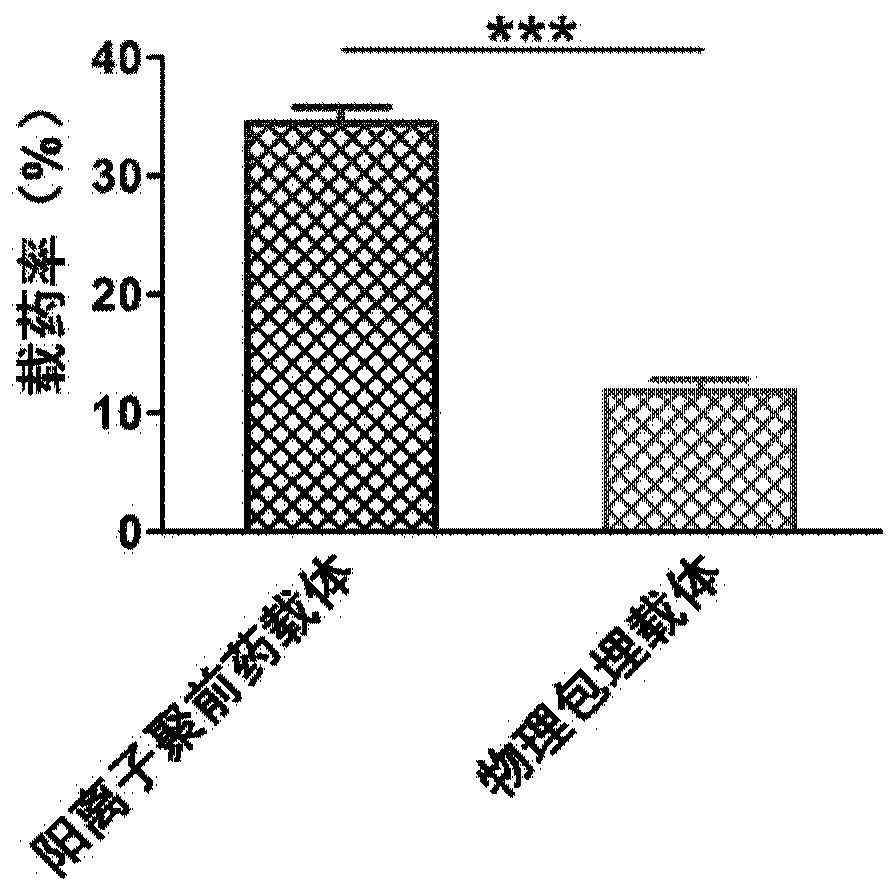 Cationic poly-prodrug polymer as well as preparation method and application thereof