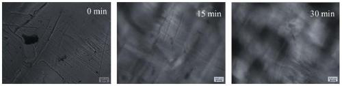 Self-repairing in-situ fluorescent tracing type heat-resistant weather-resistant epoxy resin and preparation method thereof