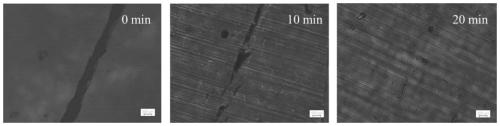 Self-repairing in-situ fluorescent tracing type heat-resistant weather-resistant epoxy resin and preparation method thereof