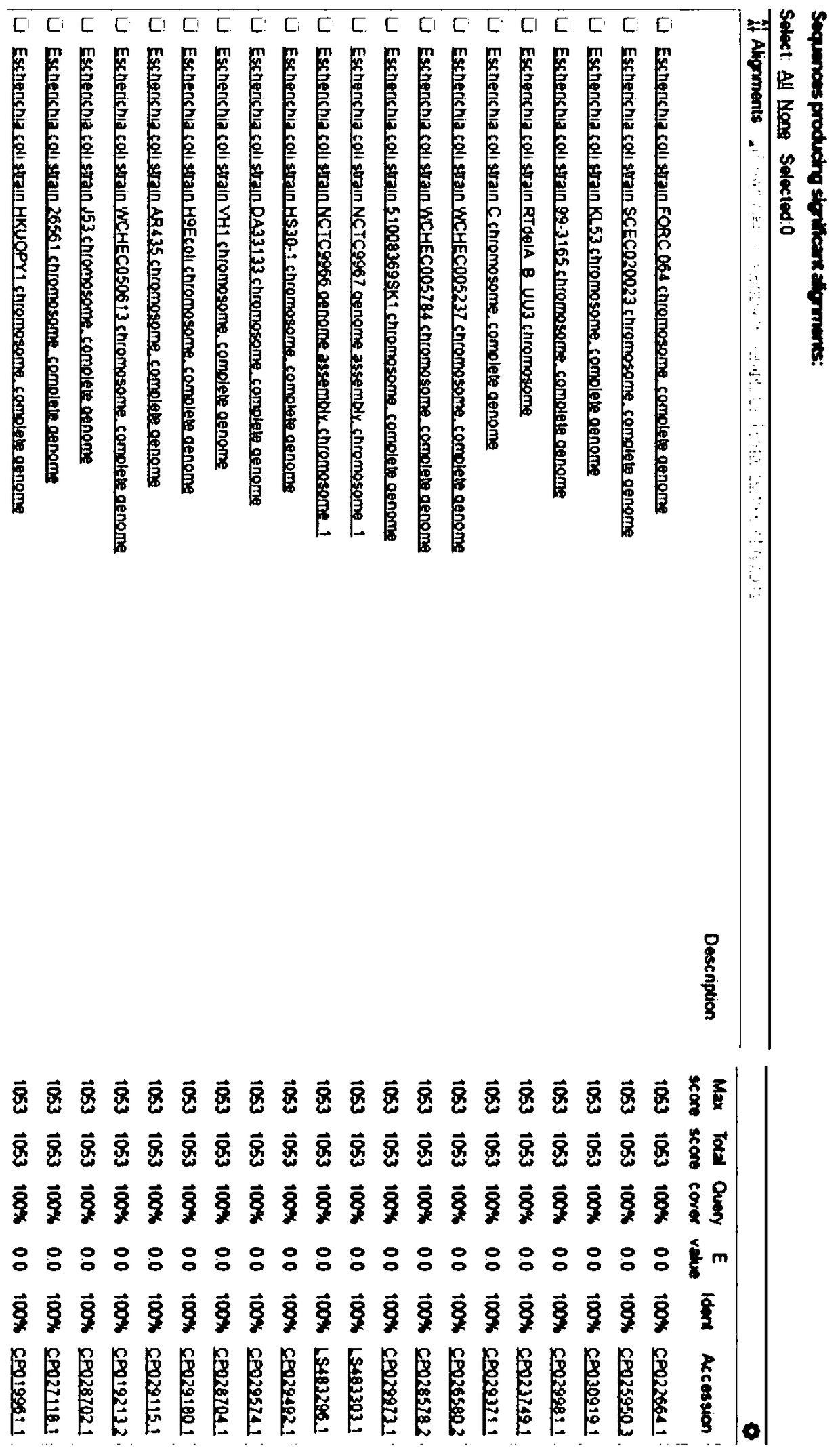 Kit, specific primer and probe for detecting content of escherichia coli, and application