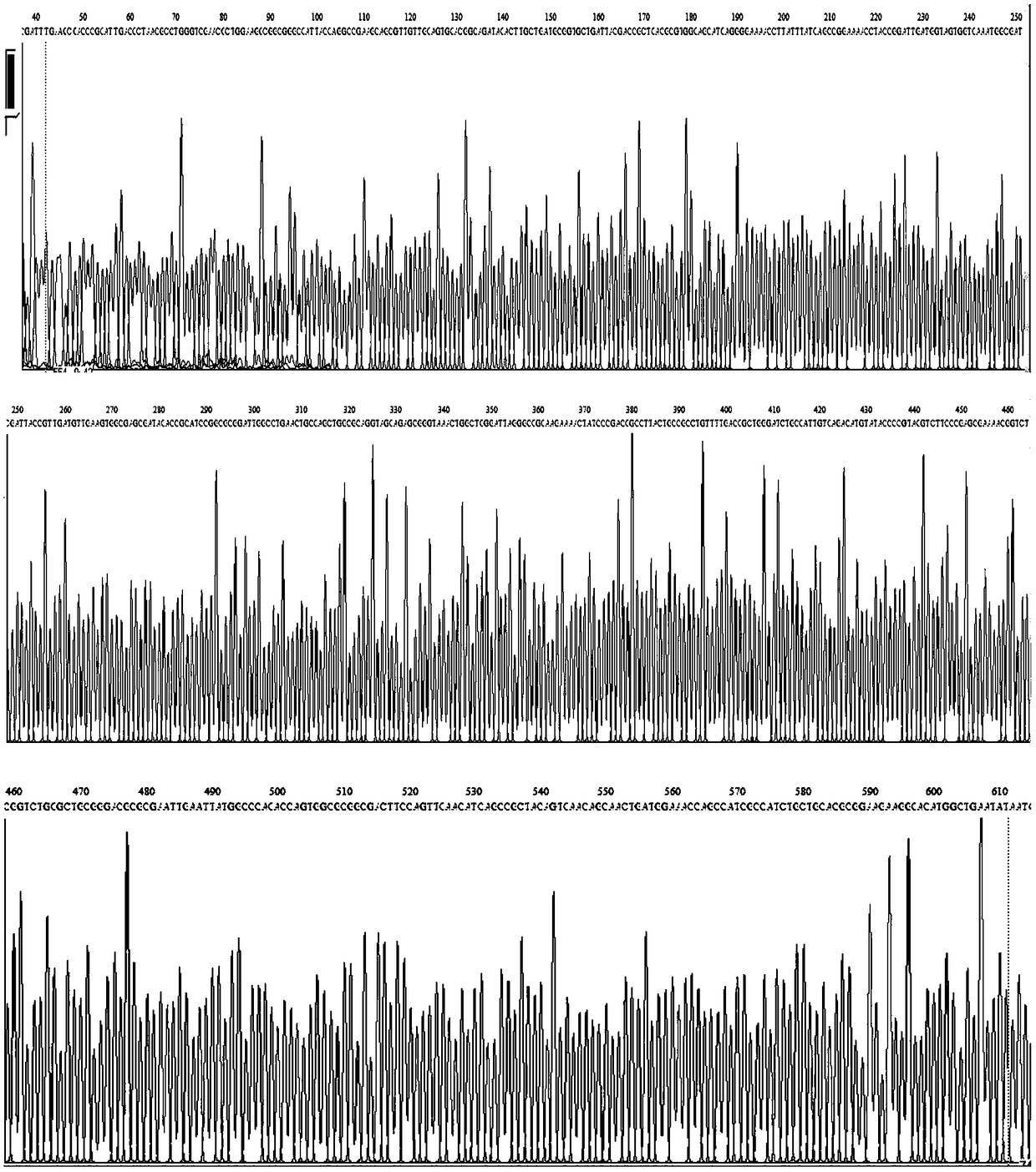 Kit, specific primer and probe for detecting content of escherichia coli, and application