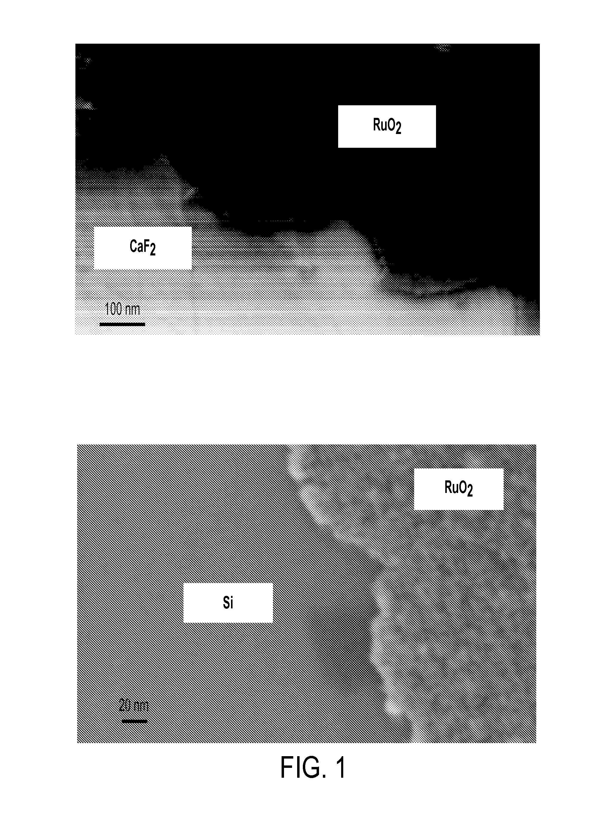 RuO2 Coatings