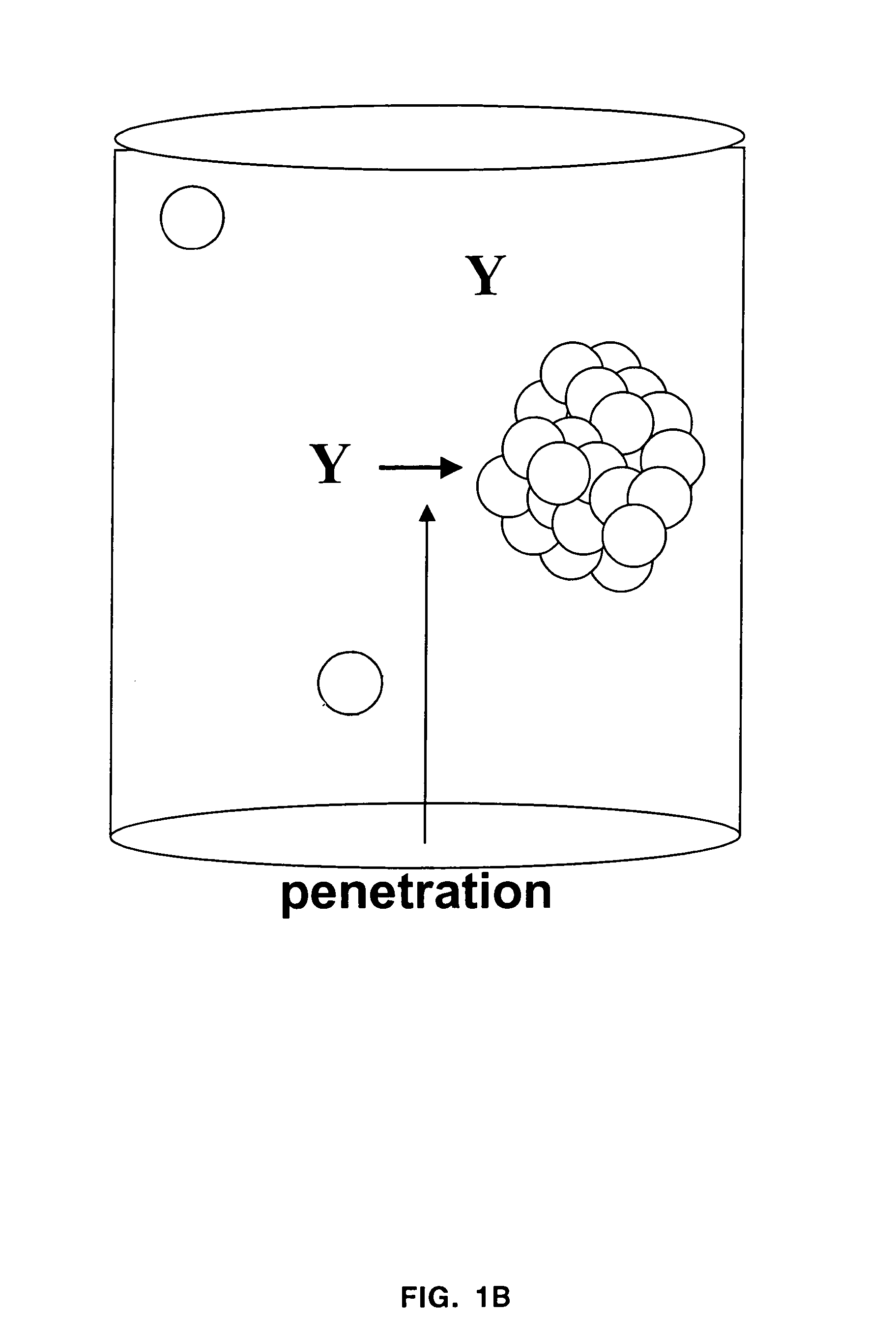 Alpha emitting constructs and uses thereof