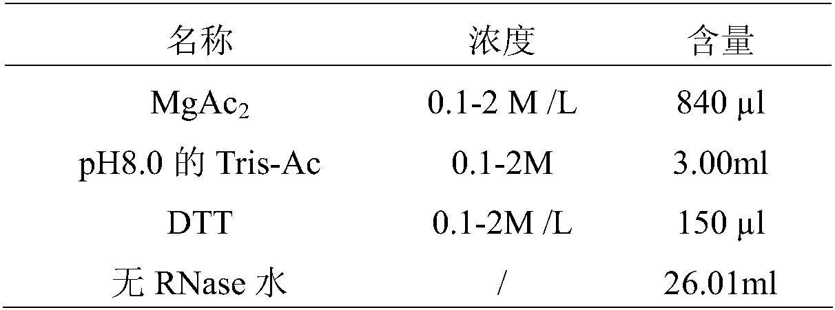 Primer pairs for fluorescence EMA detection of canine distemper virus, kit and detection method