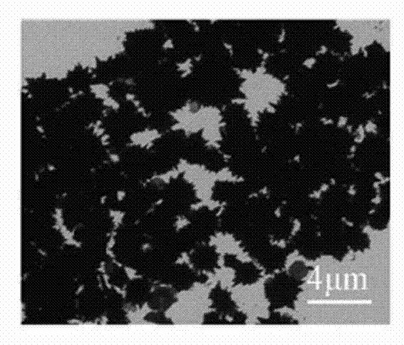 Method for controllably preparing FeNi3 micro-nano materials in various shapes