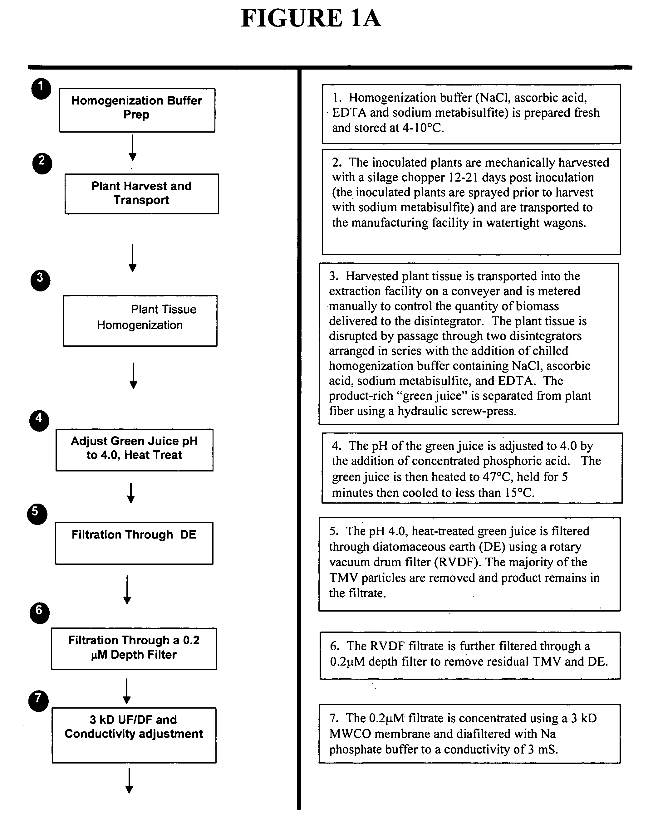 Plant-produced recombinant aprotinin and aprotinin variants