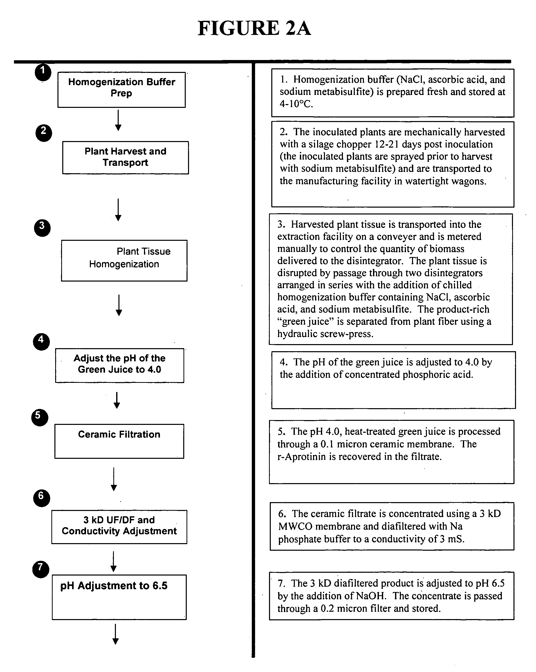 Plant-produced recombinant aprotinin and aprotinin variants