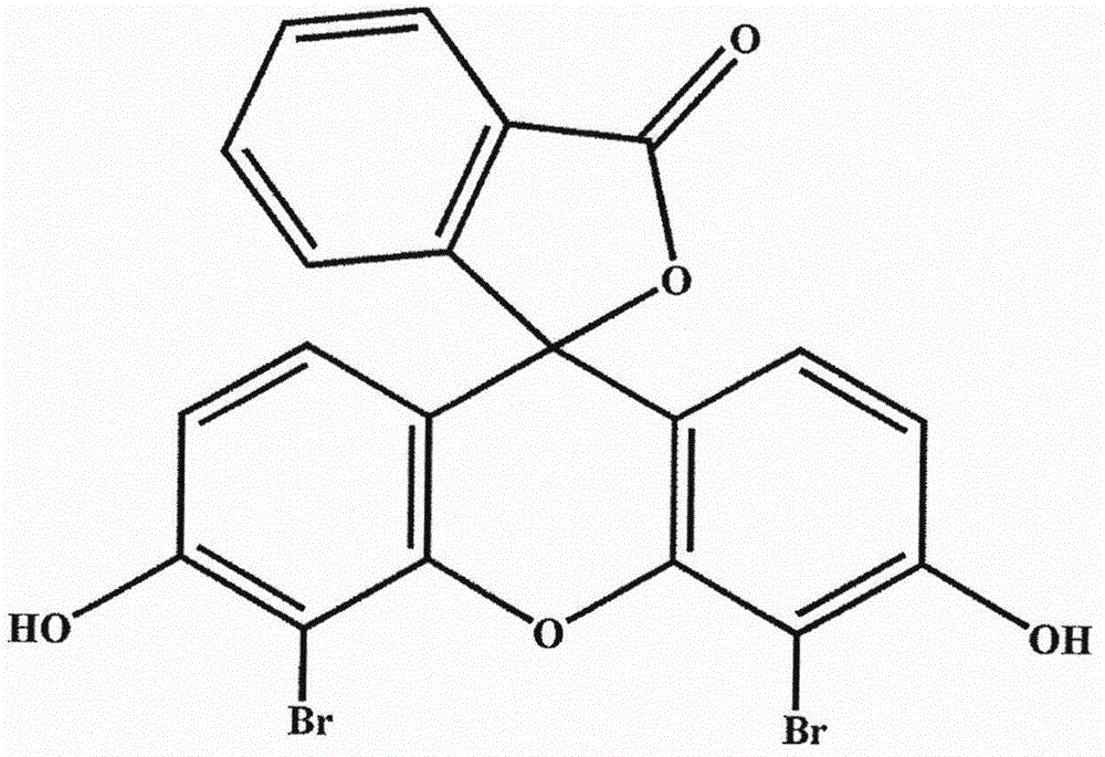 4', 5'-dibromo fluorescein and application of its derivative in protein detection