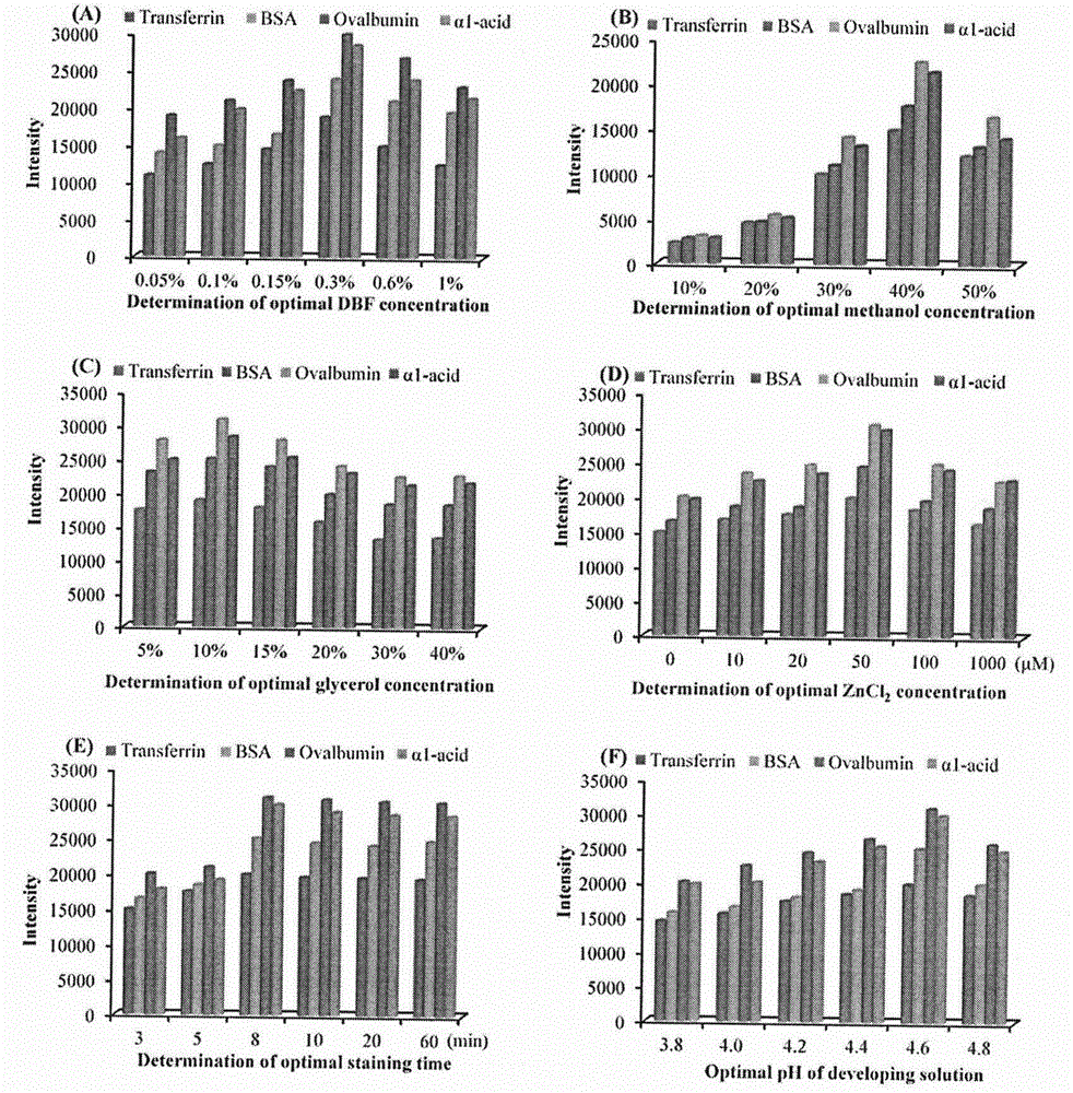 4', 5'-dibromo fluorescein and application of its derivative in protein detection