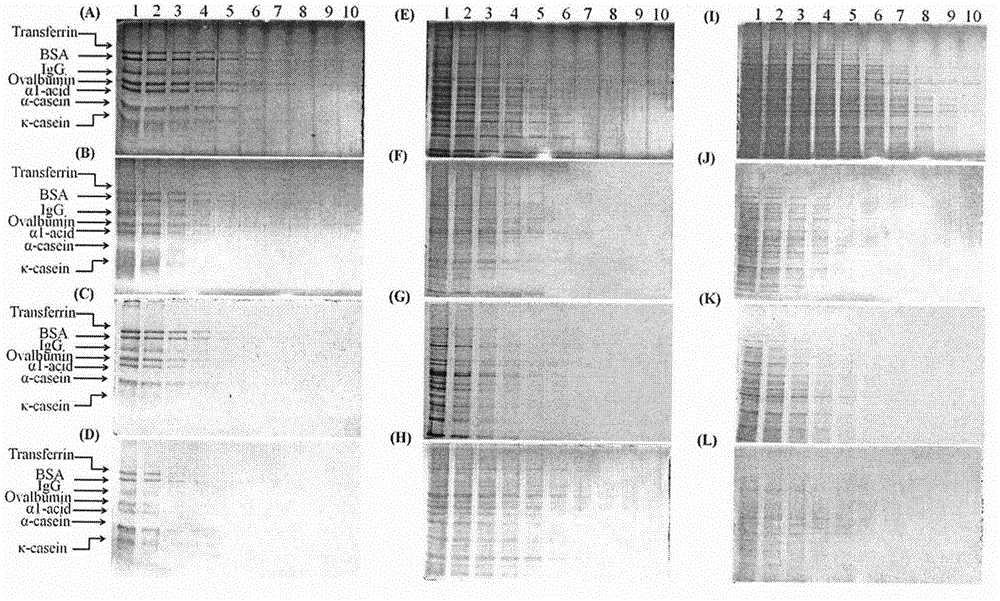 4', 5'-dibromo fluorescein and application of its derivative in protein detection