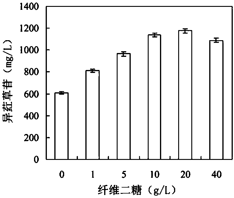 Method for improving yield of homoorientin produced by recombinant bacteria through coordinated regulation strategy