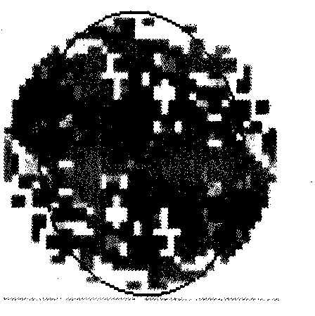 Spatial variability layout plan generation method of heavy metal content in reclamation land soil