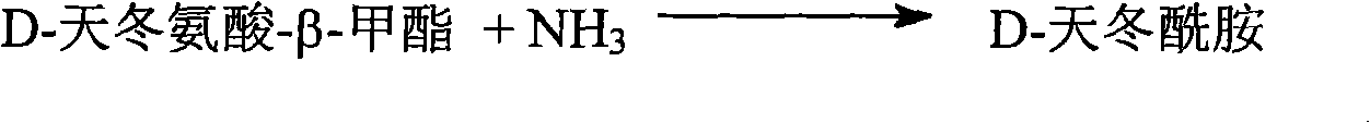 Method for preparing D-asparagine and D-homoserine