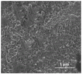 Preparation method and application of Ti3+ doped TiO2 nanotube array/sulfonated poly phenol membrane electrode