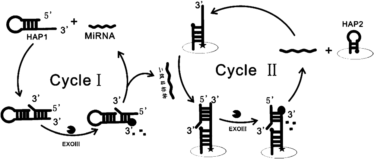 Electrochemical biosensor for detecting miRNA-122