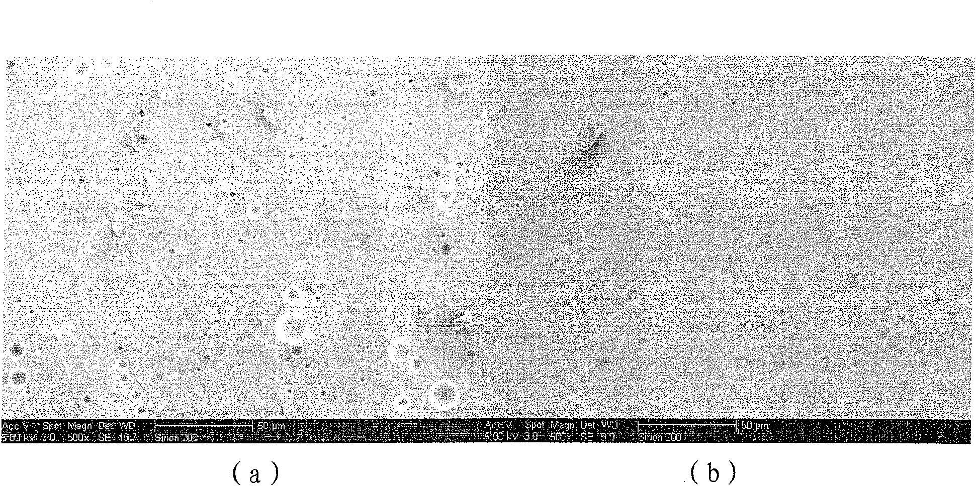 Method for preparing nano composite low melting point glass insulation coating