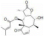 Medicinal composition for treating chronic abacterial prostatitis