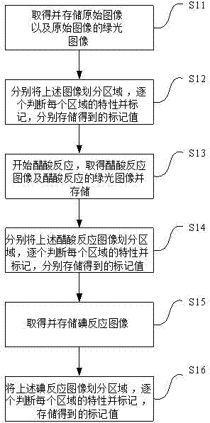 Collection method of electronic colposcope images and device