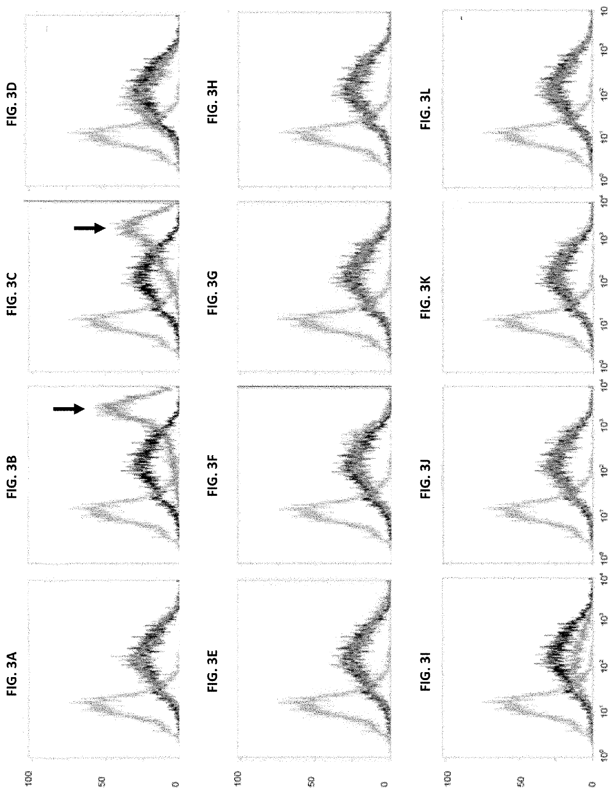 Novel eukaryotic cells and methods for recombinantly expressing a product of interest