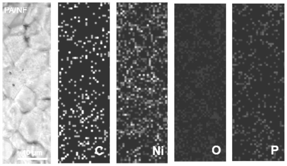 Method for catalytically oxidizing benzyl alcohol based on phytic acid modified foamed nickel electrode