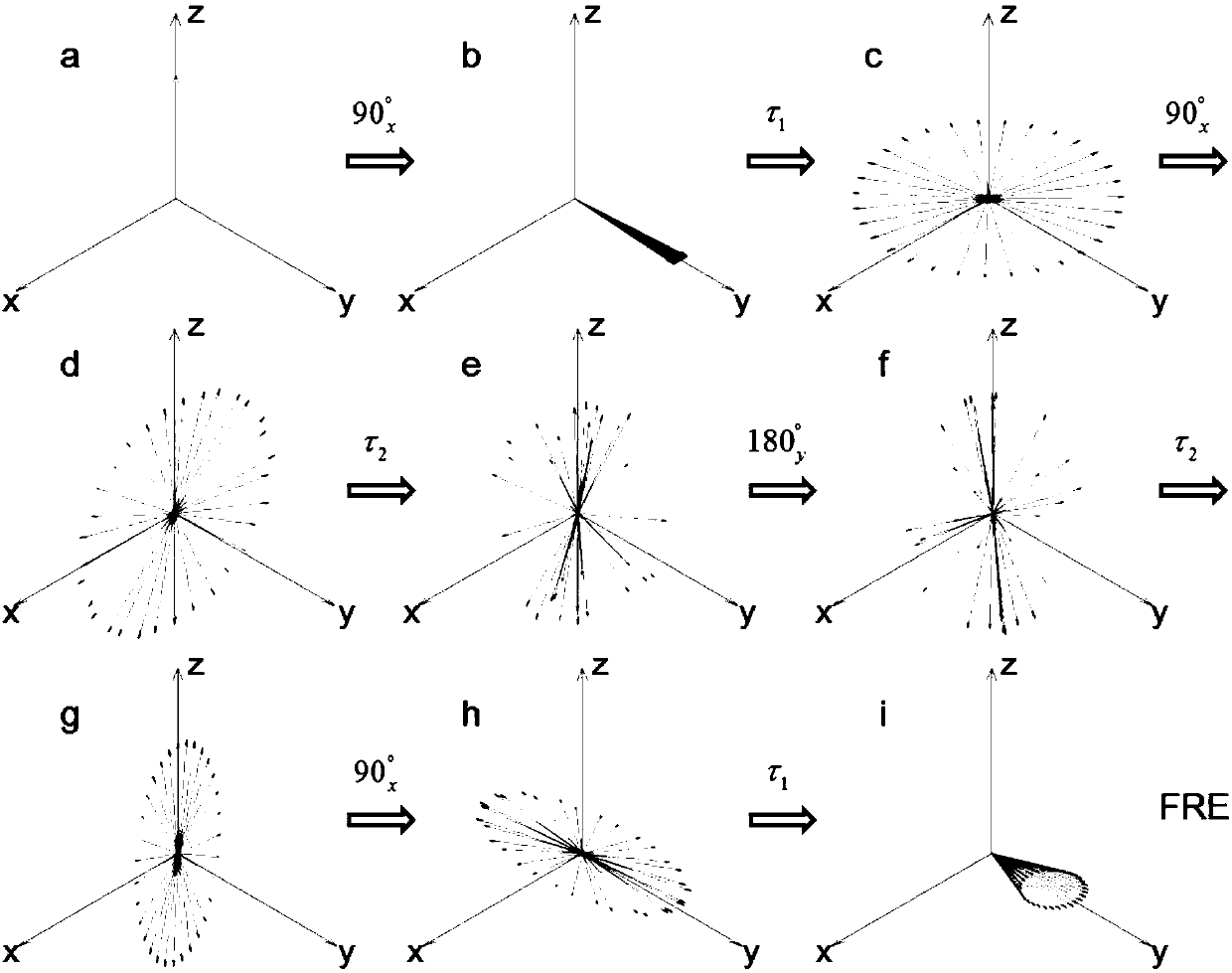 Brand-new nuclear magnetic resonance echo mechanism based magnetic resonance imaging method