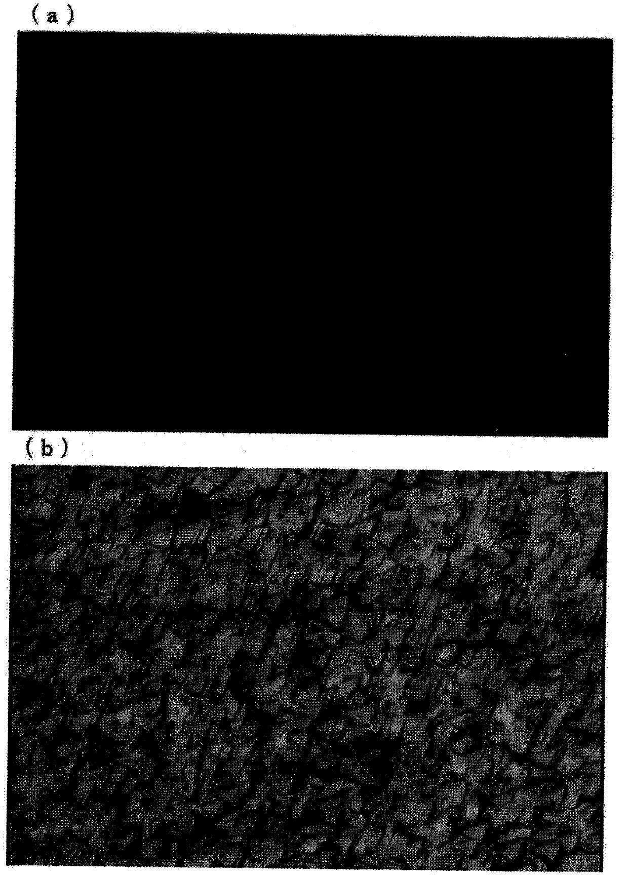 Illuminant and radiation detector