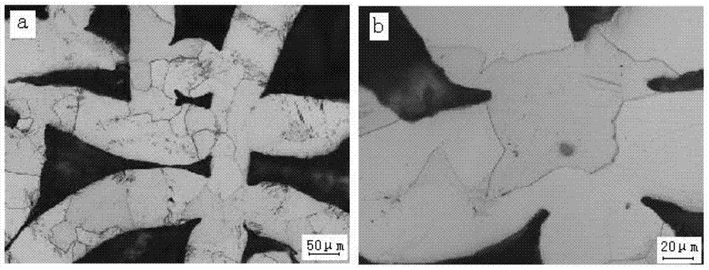 A pretreatment method for observing titanium fiber metallographic structure sintering neck