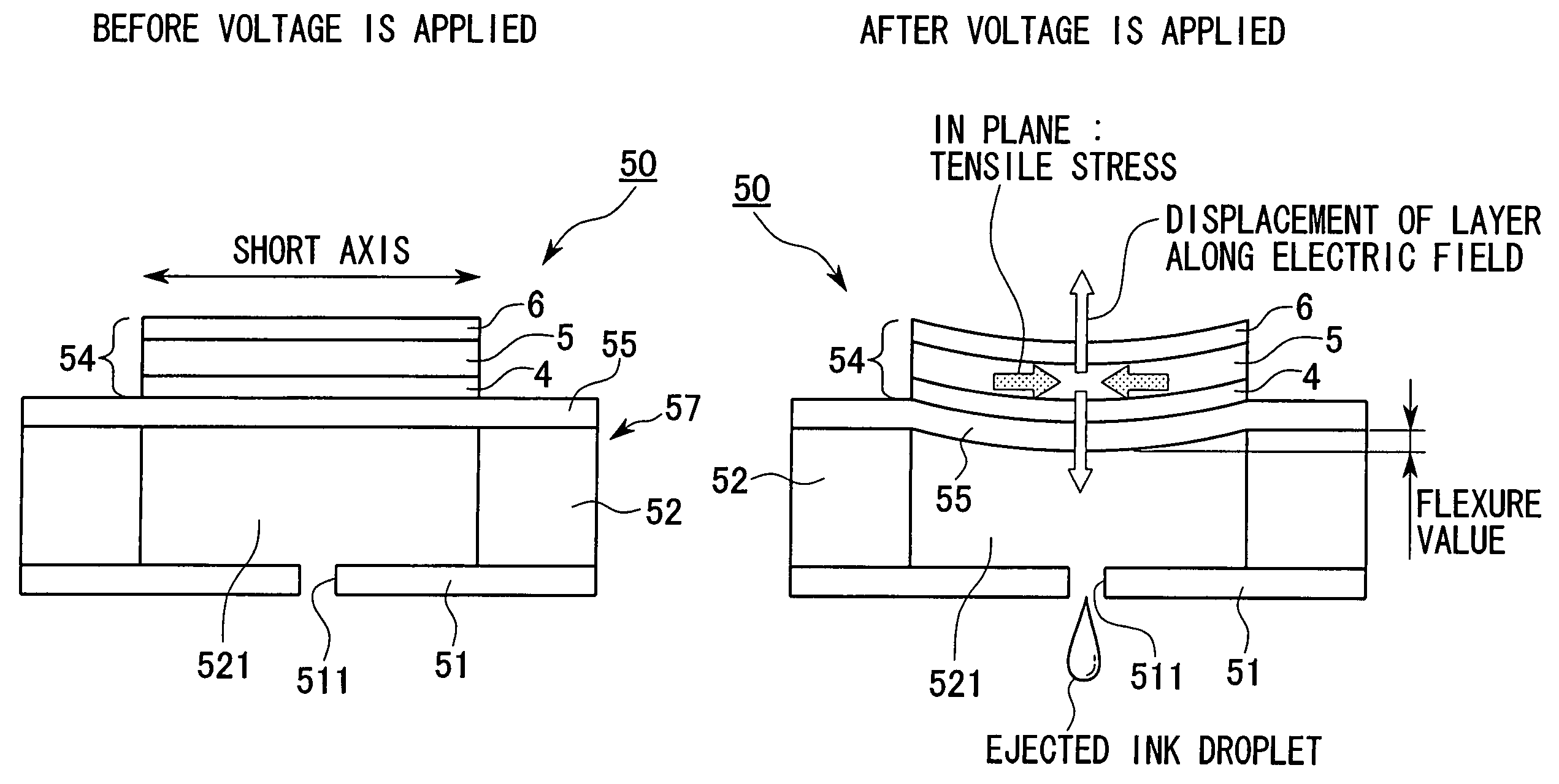 Ink jet recording head and ink jet printer with piezoelectric element