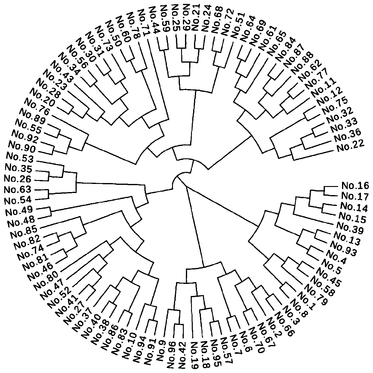 KASP primer combination suitable for lycopersicon esculentum DNA fingerprint database construction and application of KASP primer combination