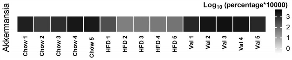 Composition for preventing reduction of abundance of Akkermansia muciniphila in intestinal tract