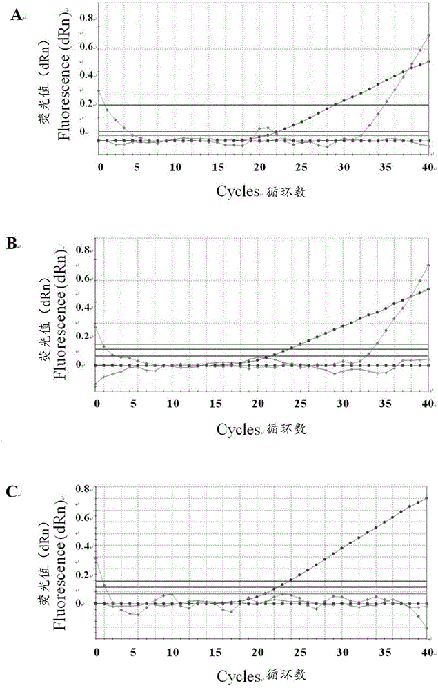 Triple fluorescent quantitative PCR primer, probe and kit for identifying pseudorabies virus strains