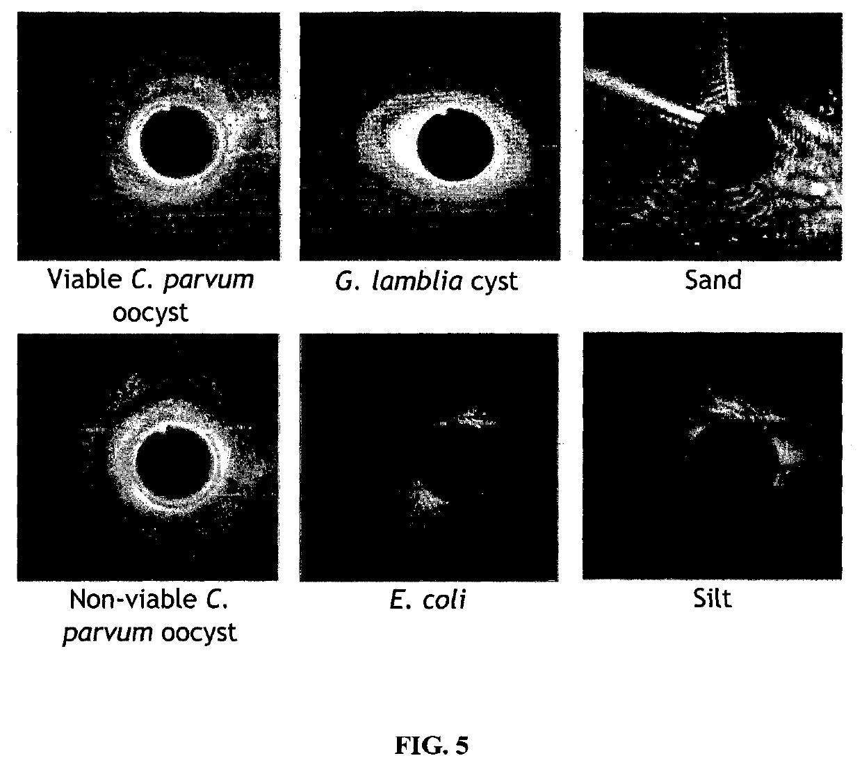 Sensor for particle detection in a fluid