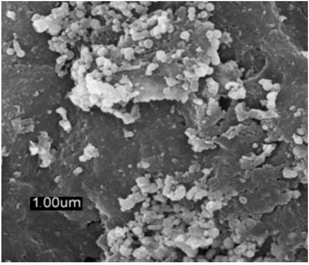 Micro-nano iron sulfide/porous carbon composite material, preparation method thereof and seaweed biomass application