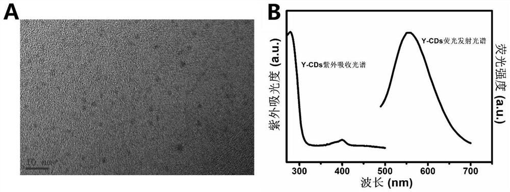 A preparation method of ratiometric fluorescent probe for quantitative detection of ppi content in urine