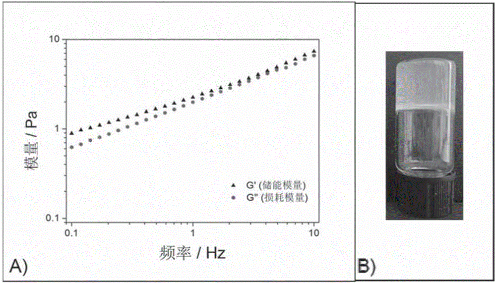 Double-functional hydrogel polymer composite material as well as preparation method and application of double-functional hydrogel polymer composite material