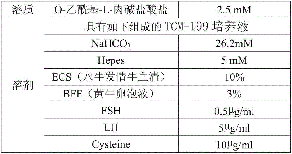 O-acetyl-L-carnitine hydrochloride containing buffalo oocyte in-vitro maturation liquid and culture method