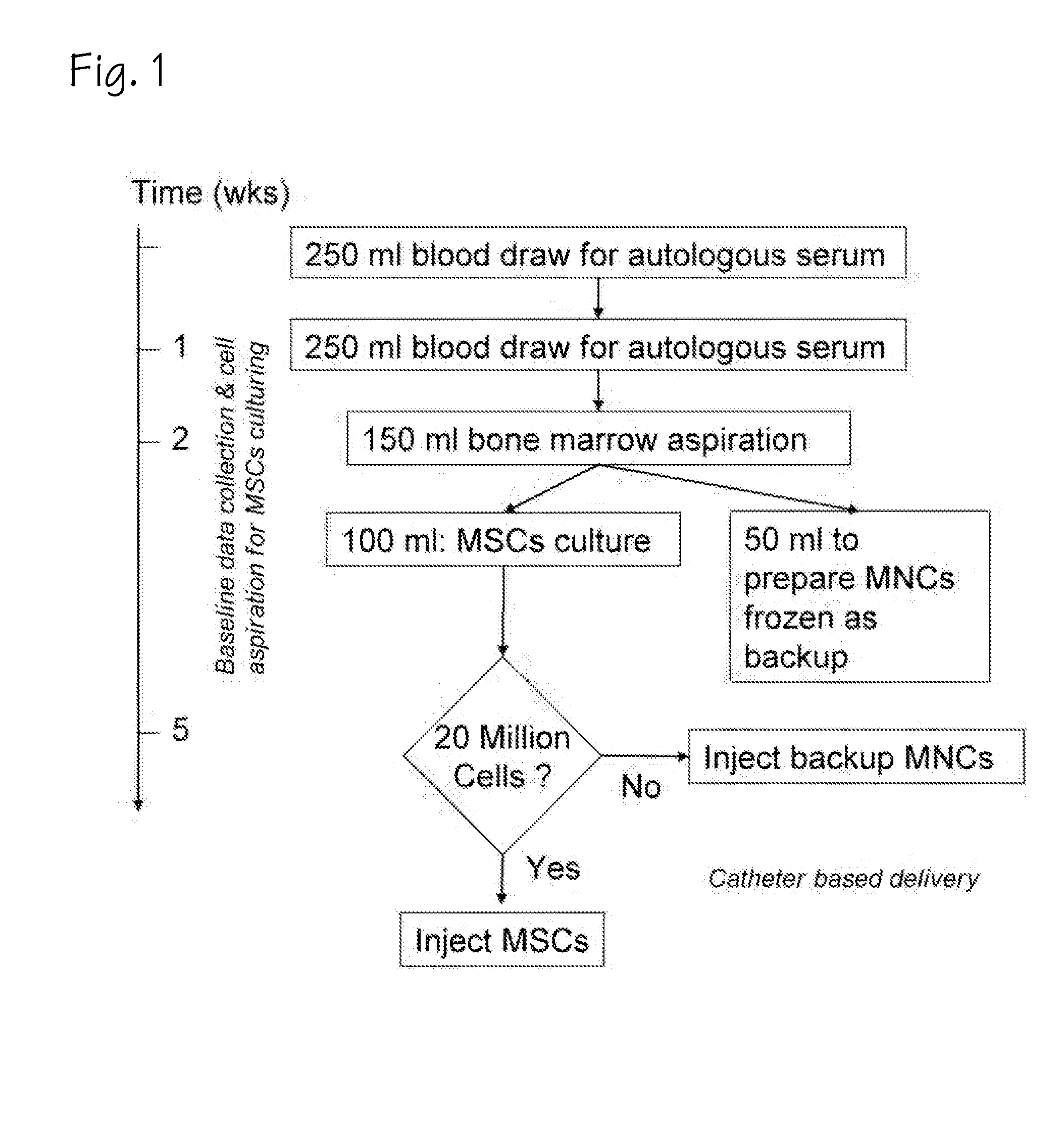 Method of preparing autologous cells and methods of use for therapy