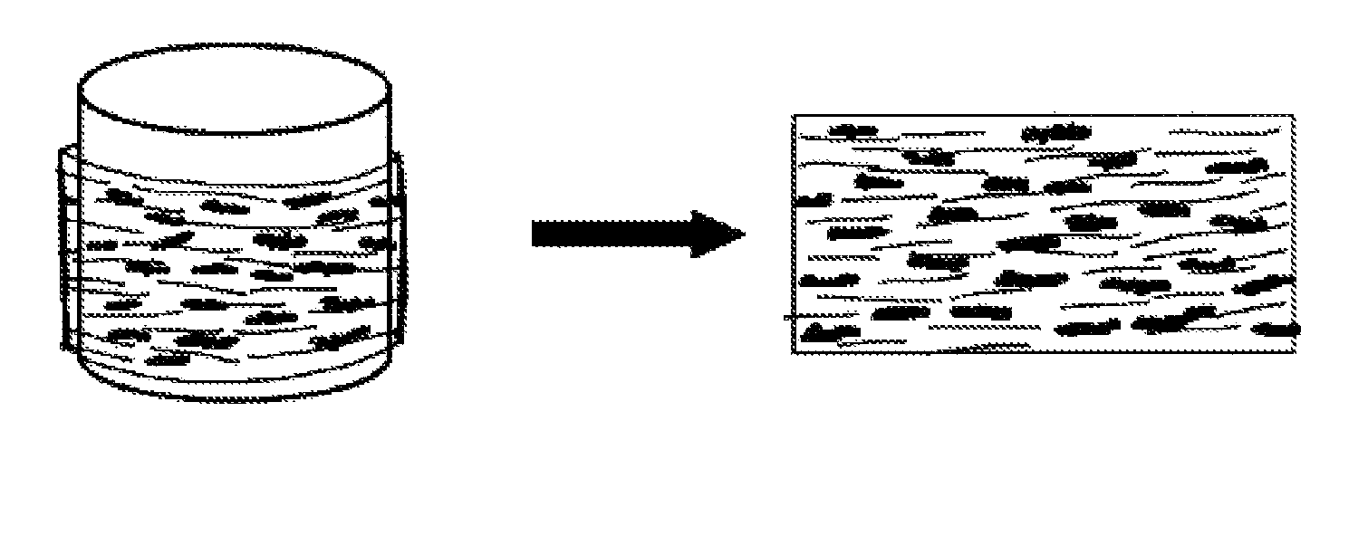 Method for aligning cells and applying homogenous strain throughout deformable engineered tissue constructs