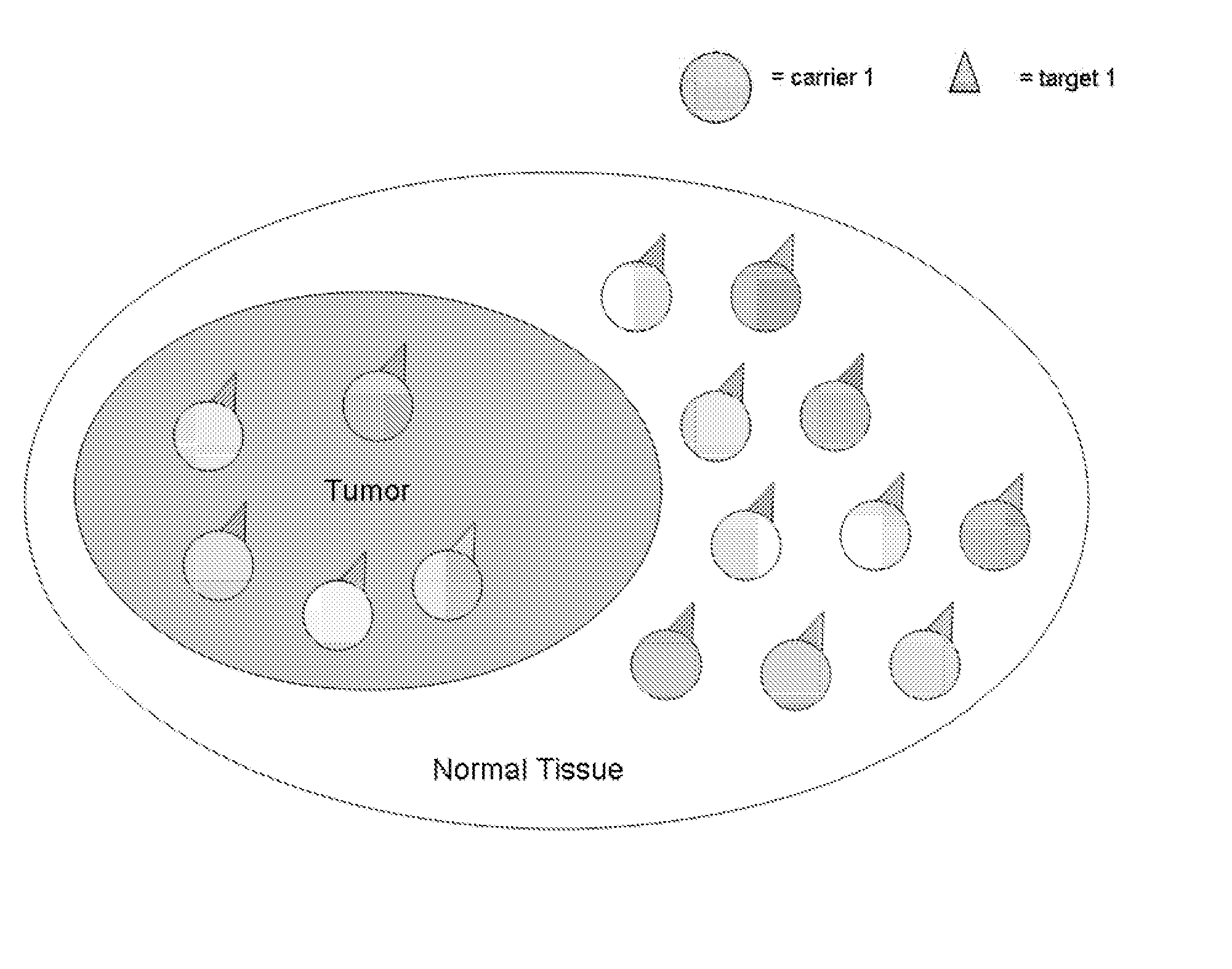 Coupled Carriers for Enhancing Therapy