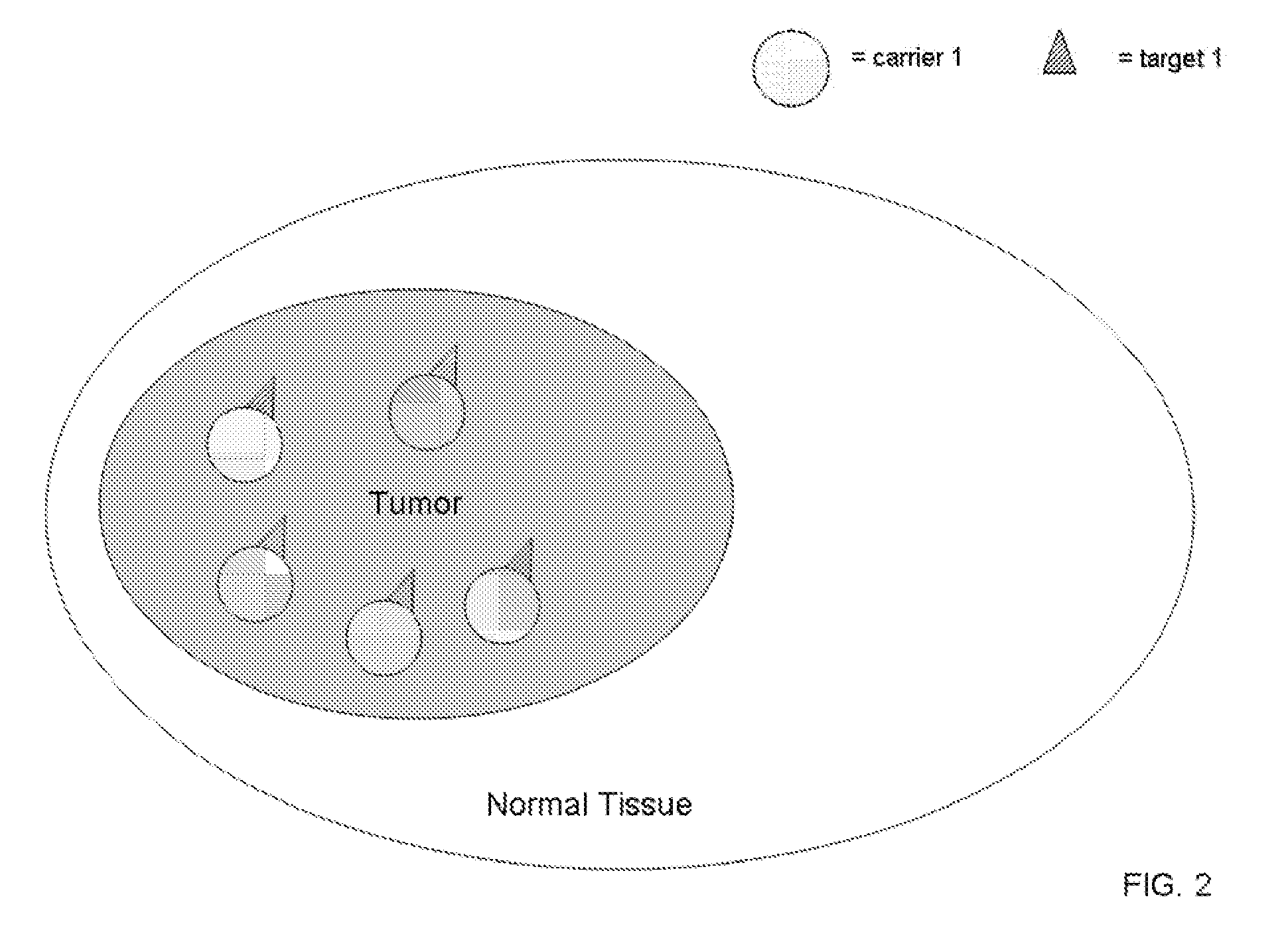 Coupled Carriers for Enhancing Therapy