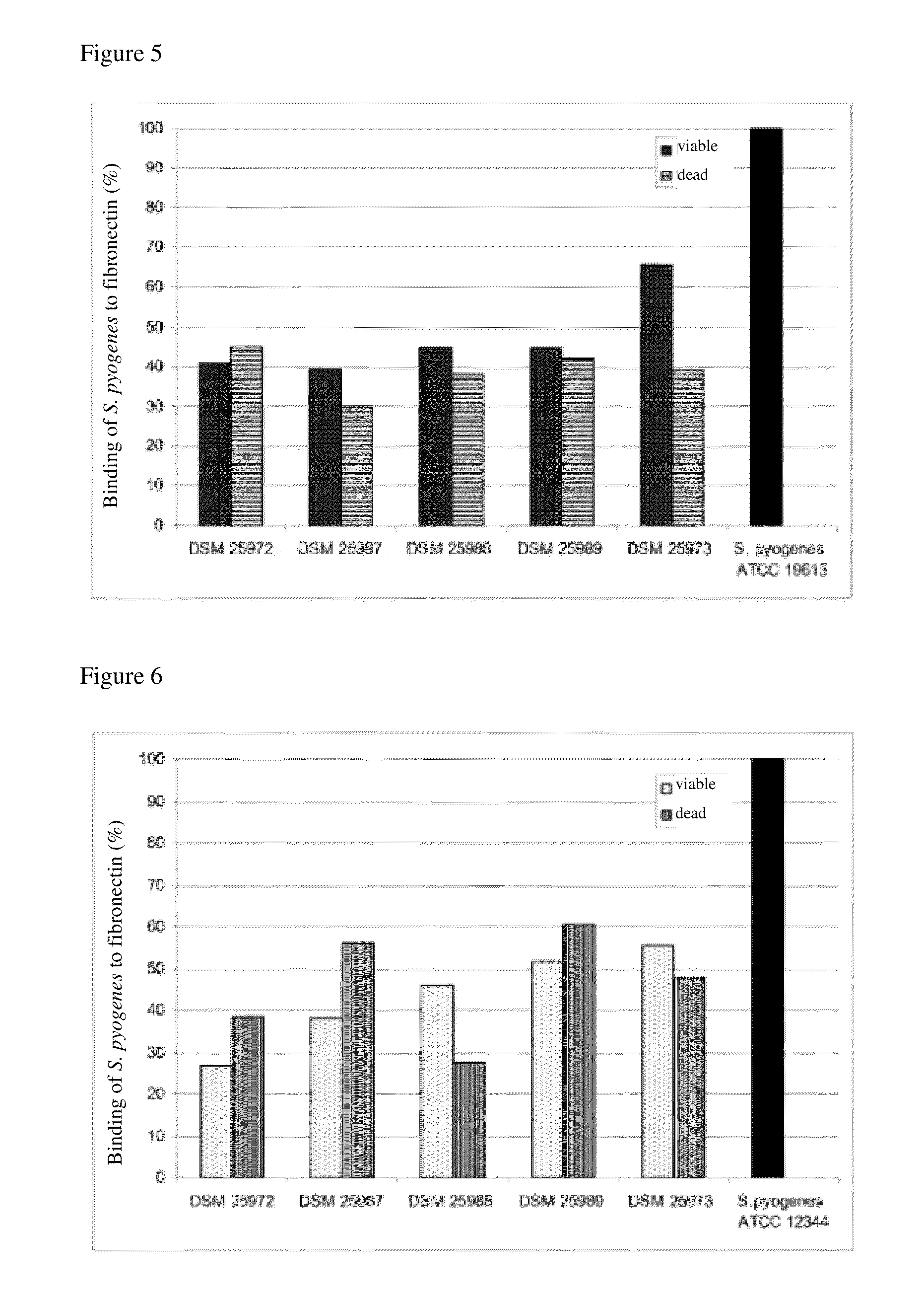 Novel lactic acid bacteria and compositions containing them against bacterial colds