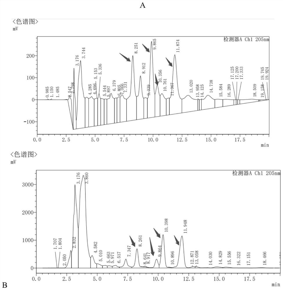 Surfactin high-yield bacillus subtilis obtained through compound mutation and fermentation method thereof