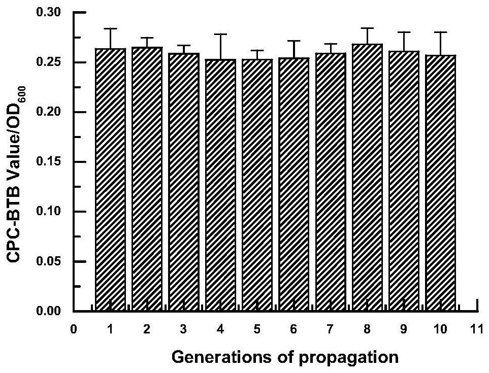 Surfactin high-yield bacillus subtilis obtained through compound mutation and fermentation method thereof