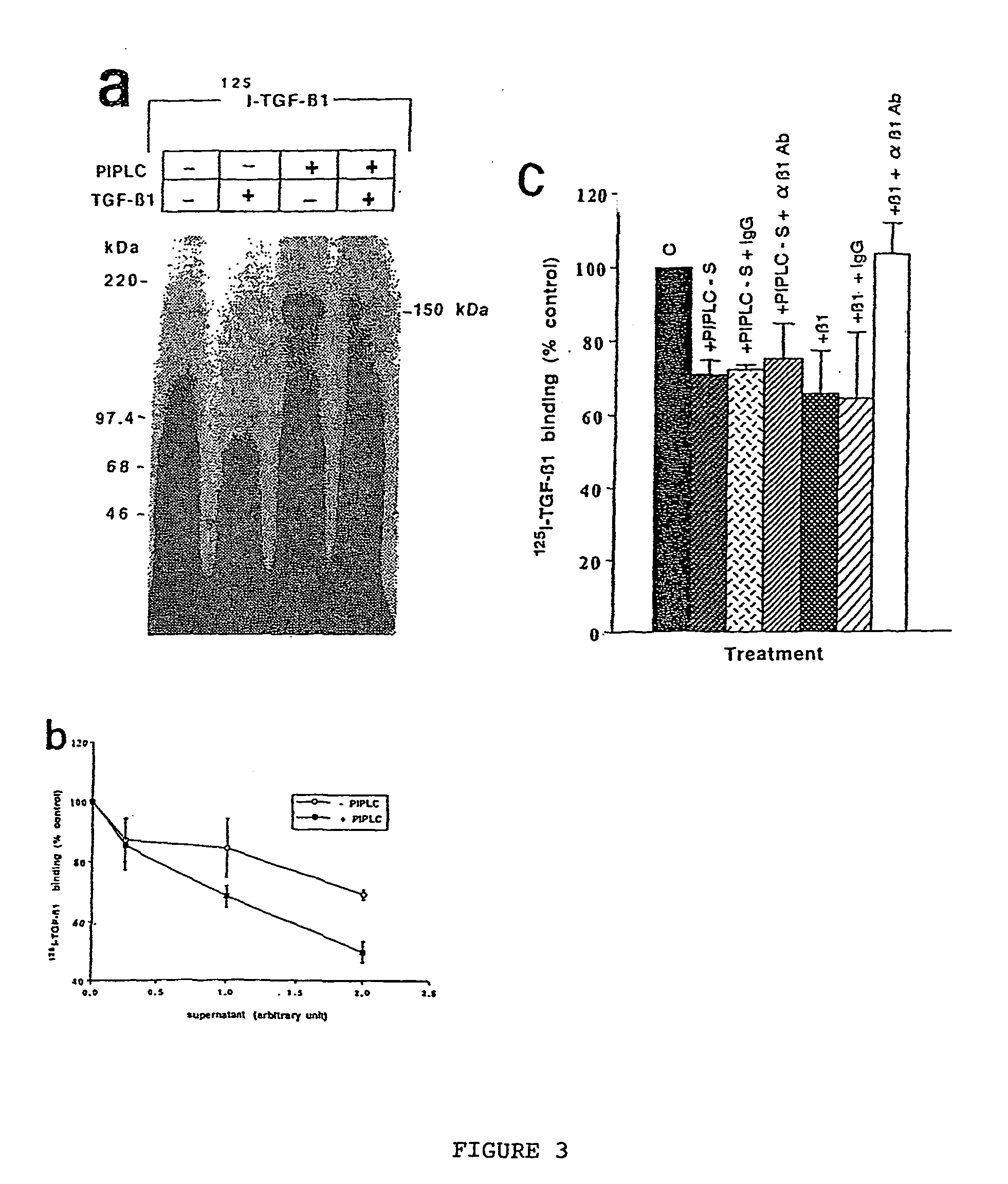 150 Kda accessory receptor for tgf-beta