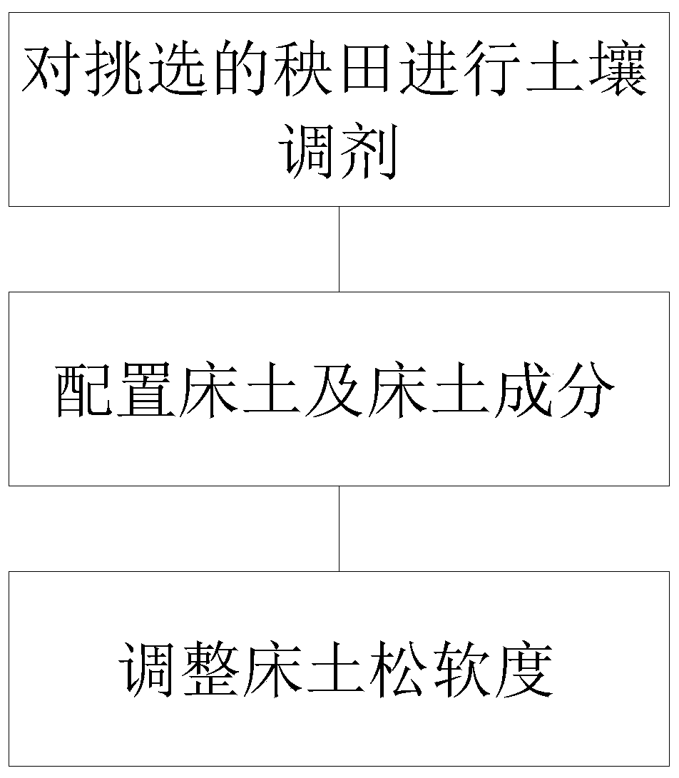 Rice seedling raising method