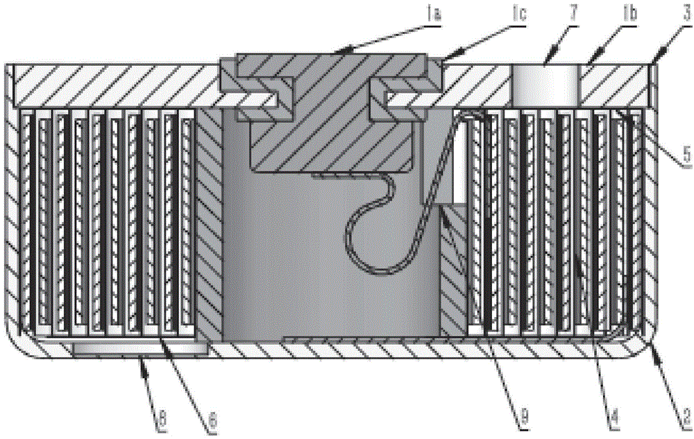 Button type lithium ion secondary battery and preparation method thereof