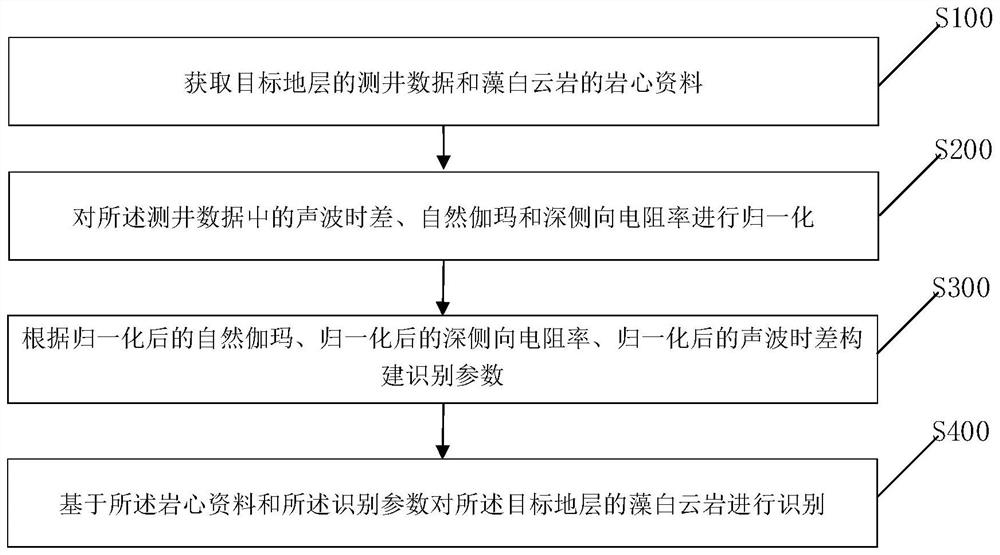 Dolomite stratum algal dolomite identification method and device